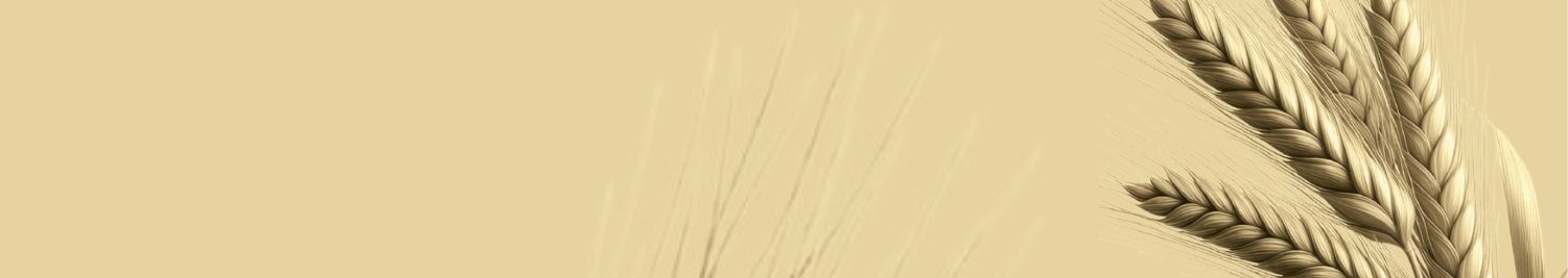 Banner Mitra